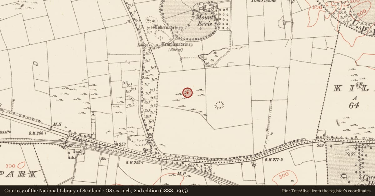 Ordnance Survey six-inch map, 2nd edition (1888–1915) covering the location of Ringfort - cashel, Erris, County Roscommon, with a pin at the register's coordinates