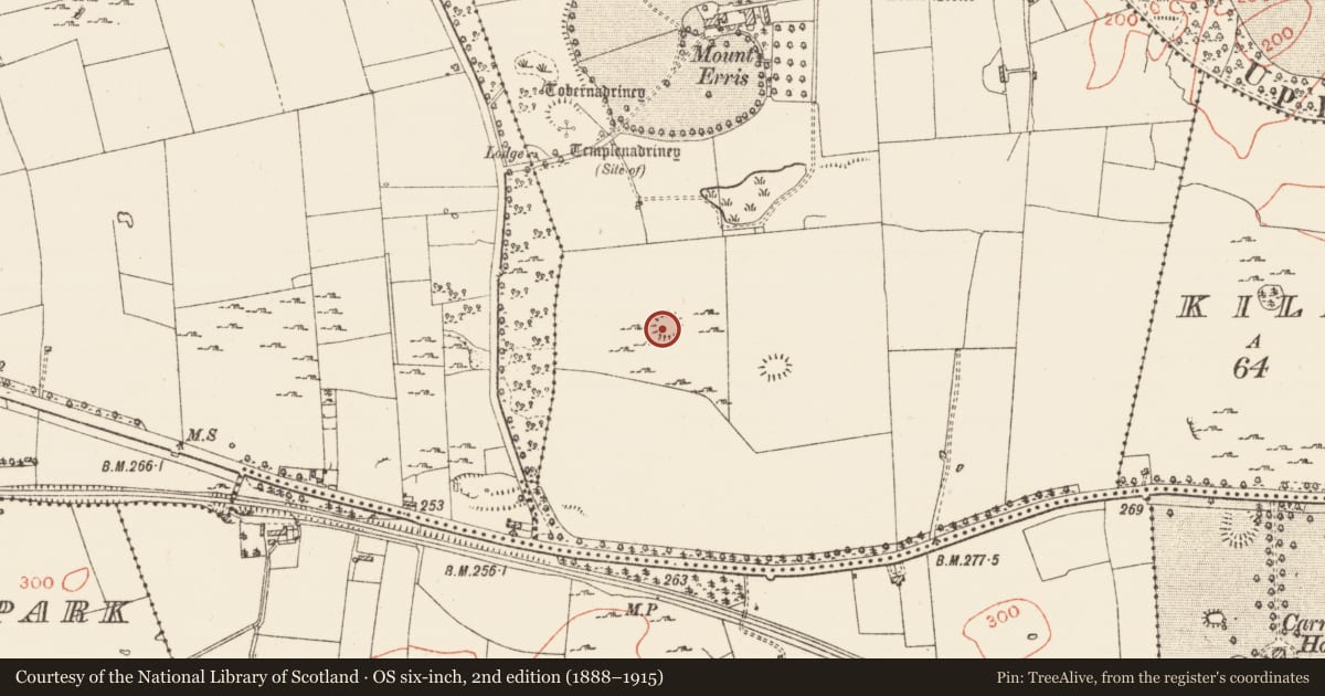 Ordnance Survey six-inch map, 2nd edition (1888–1915) covering the location of House - indeterminate date, Erris, County Roscommon, with a pin at the register's coordinates