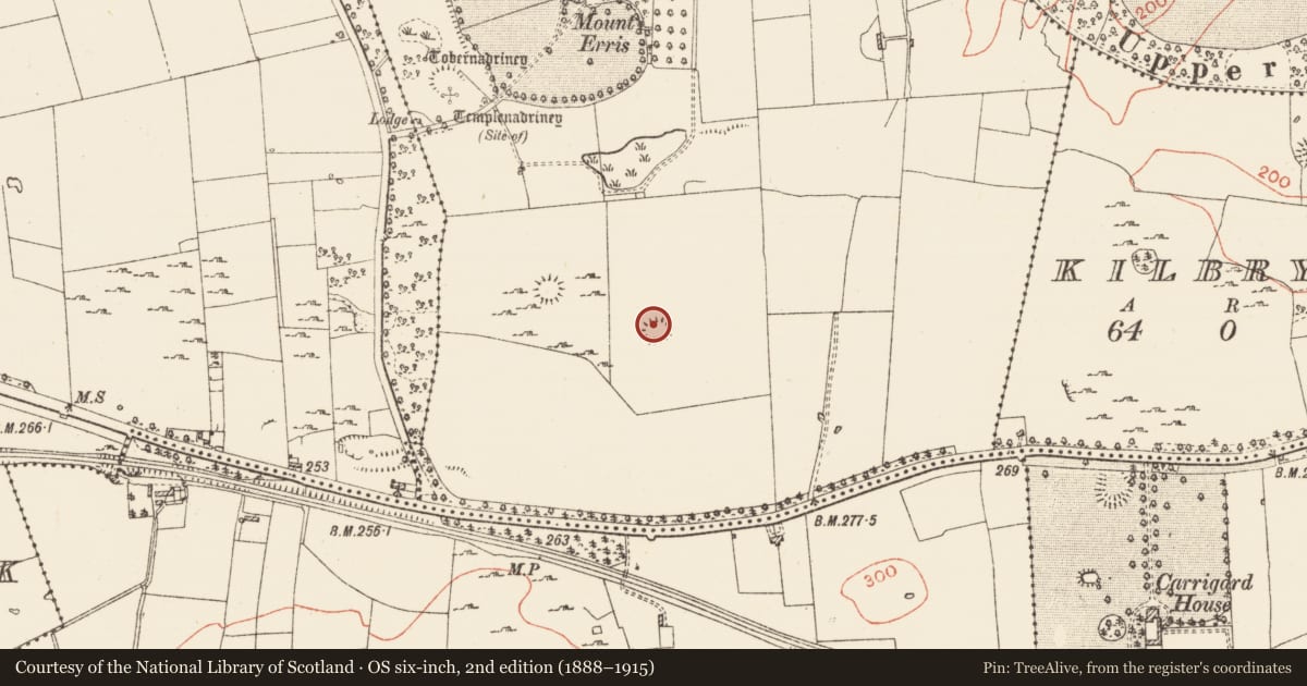Ordnance Survey six-inch map, 2nd edition (1888–1915) covering the location of Ringfort - cashel, Erris, County Roscommon, with a pin at the register's coordinates
