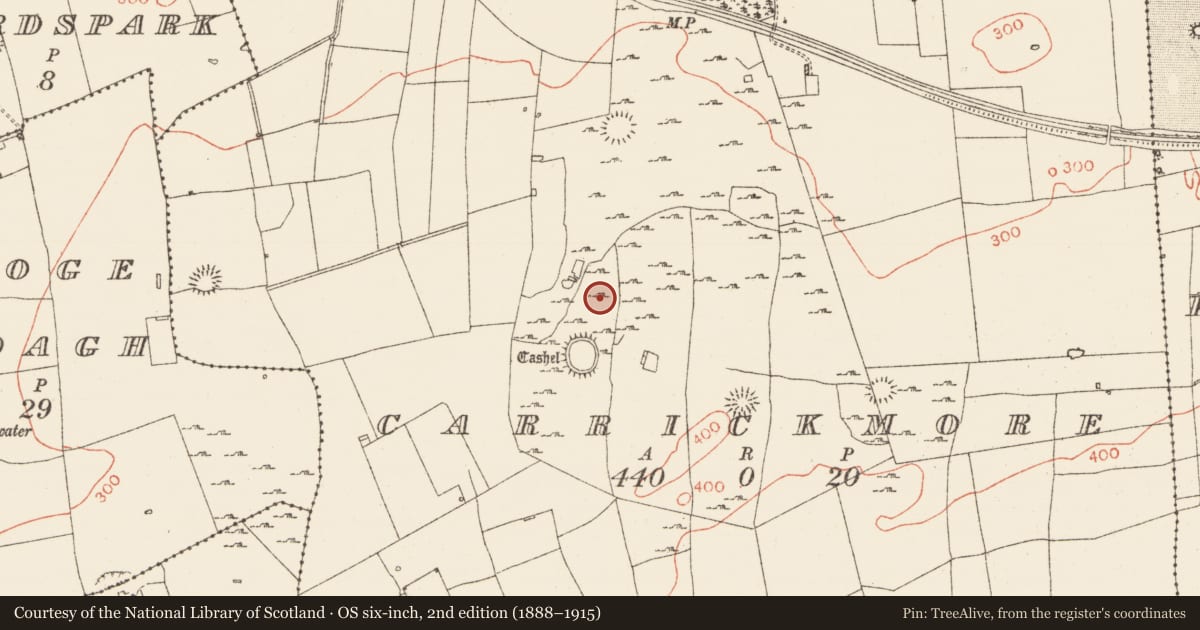 Ordnance Survey six-inch map, 2nd edition (1888–1915) covering the location of Ringfort - rath, Carrickmore, County Roscommon, with a pin at the register's coordinates