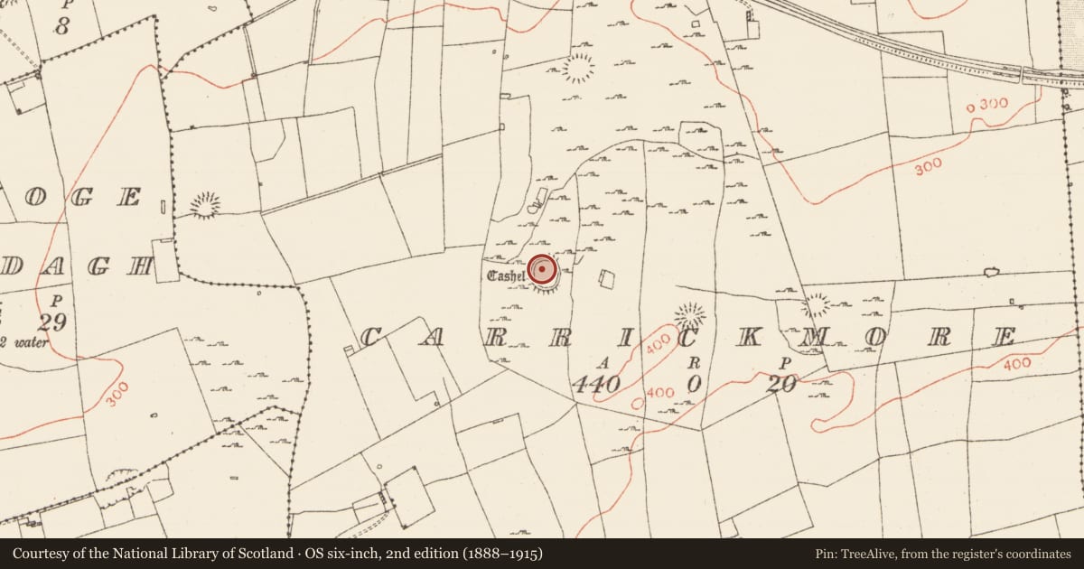 Ordnance Survey six-inch map, 2nd edition (1888–1915) covering the location of Ringfort - cashel, Carrickmore, County Roscommon, with a pin at the register's coordinates