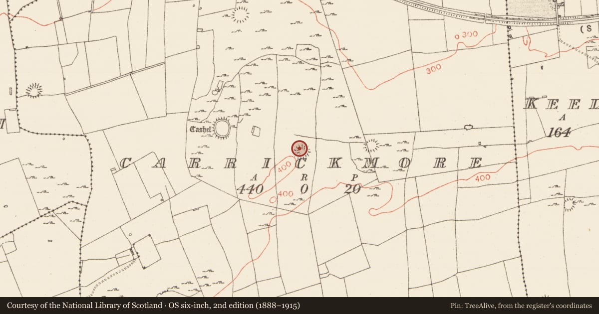 Ordnance Survey six-inch map, 2nd edition (1888–1915) covering the location of Ringfort - cashel, Carrickmore, County Roscommon, with a pin at the register's coordinates