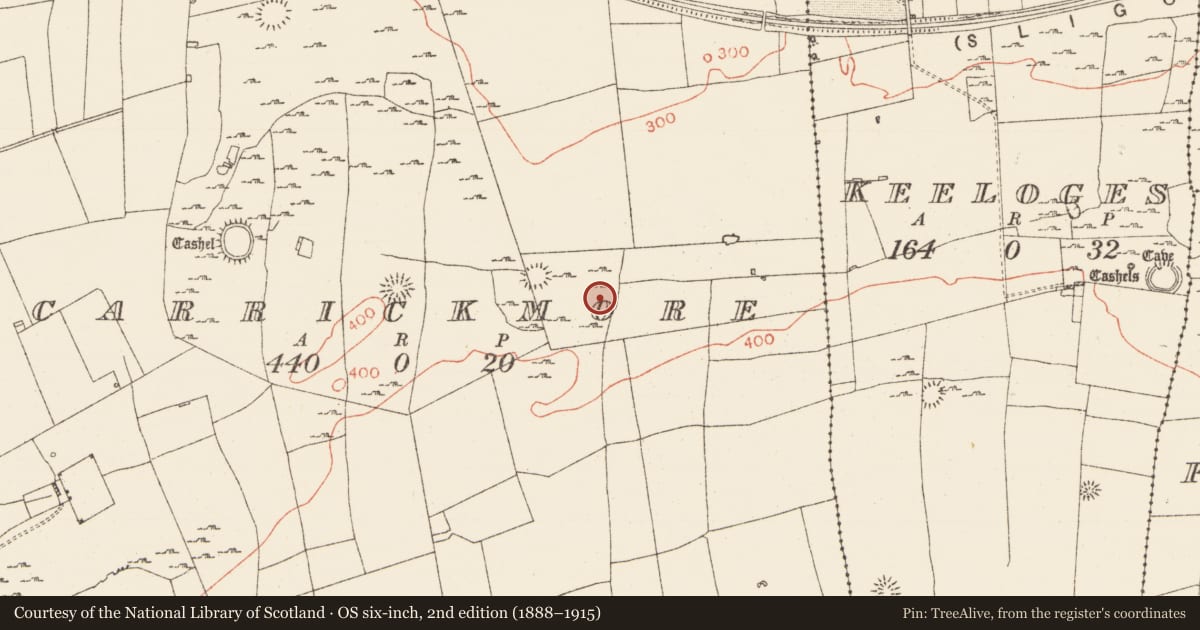 Ordnance Survey six-inch map, 2nd edition (1888–1915) covering the location of Enclosure, Carrickmore, County Roscommon, with a pin at the register's coordinates