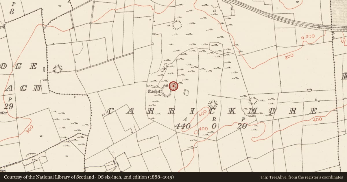 Ordnance Survey six-inch map, 2nd edition (1888–1915) covering the location of House - indeterminate date, Carrickmore, County Roscommon, with a pin at the register's coordinates