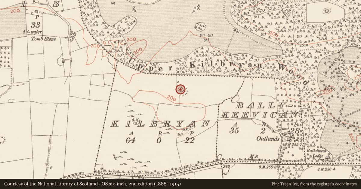 Ordnance Survey six-inch map, 2nd edition (1888–1915) covering the location of Ringfort - rath, Kilbryan, County Roscommon, with a pin at the register's coordinates