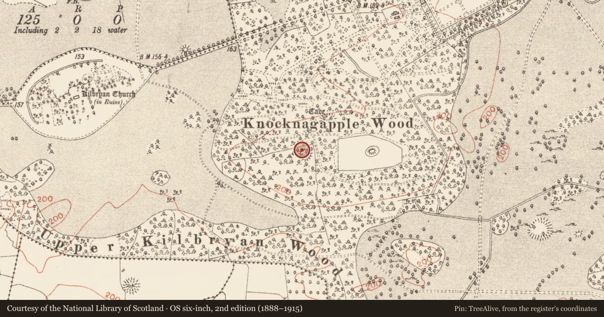 Ordnance Survey six-inch map, 2nd edition (1888–1915) covering the location of Ringfort - rath, Rockingham Demesne, County Roscommon, with a pin at the register's coordinates