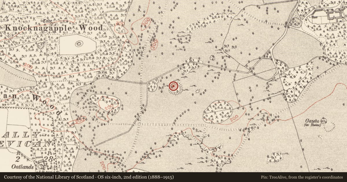 Ordnance Survey six-inch map, 2nd edition (1888–1915) covering the location of Ringfort - cashel, Rockingham Demesne, County Roscommon, with a pin at the register's coordinates