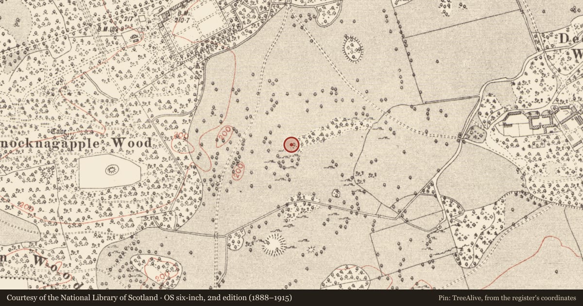 Ordnance Survey six-inch map, 2nd edition (1888–1915) covering the location of Ringfort - cashel, Rockingham Demesne, County Roscommon, with a pin at the register's coordinates