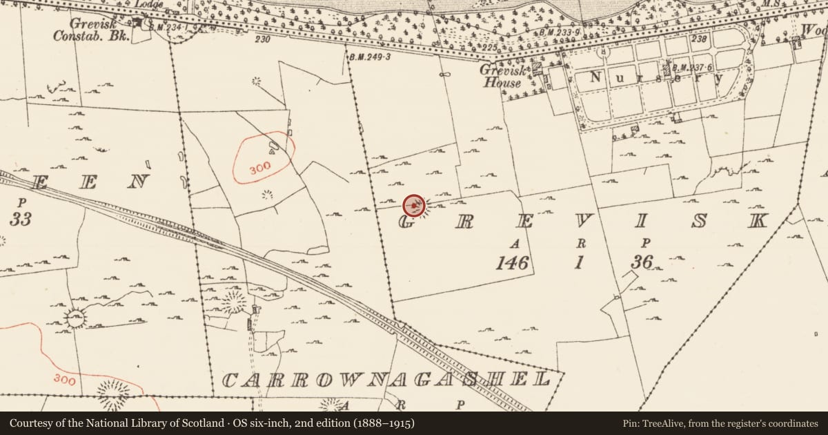 Ordnance Survey six-inch map, 2nd edition (1888–1915) covering the location of Ringfort - cashel, Grevisk, County Roscommon, with a pin at the register's coordinates