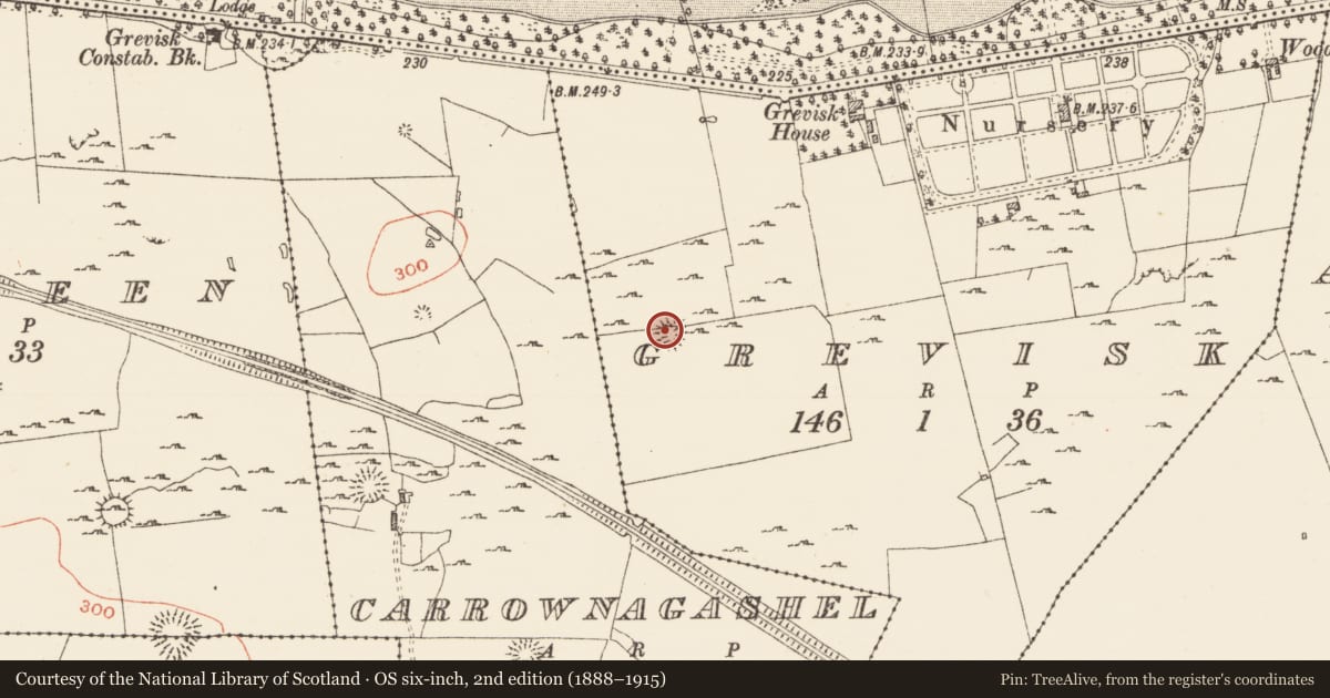 Ordnance Survey six-inch map, 2nd edition (1888–1915) covering the location of House - indeterminate date, Grevisk, County Roscommon, with a pin at the register's coordinates