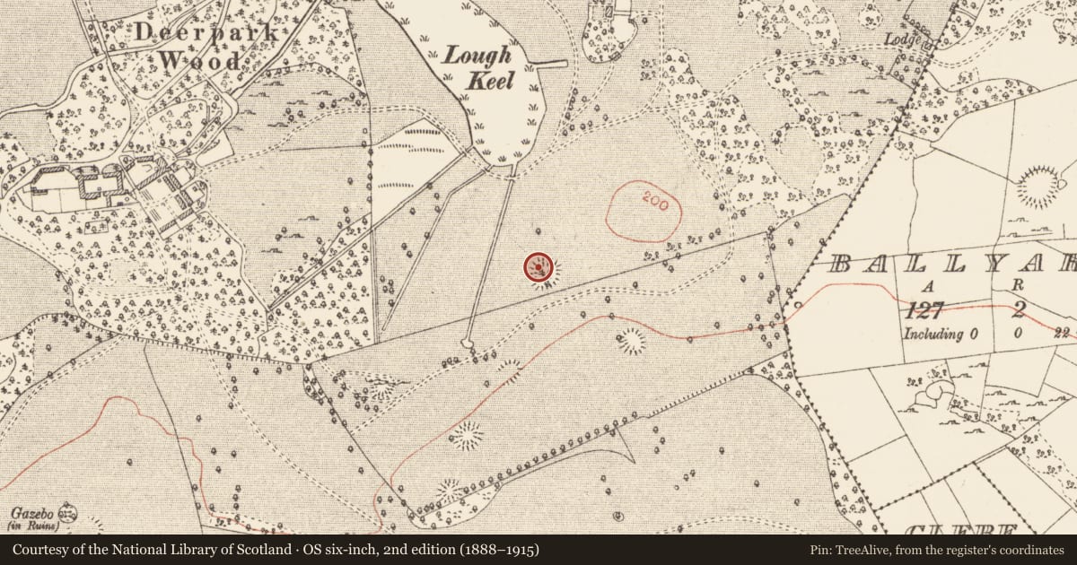 Ordnance Survey six-inch map, 2nd edition (1888–1915) covering the location of Ringfort - rath, Rockingham Demesne, County Roscommon, with a pin at the register's coordinates