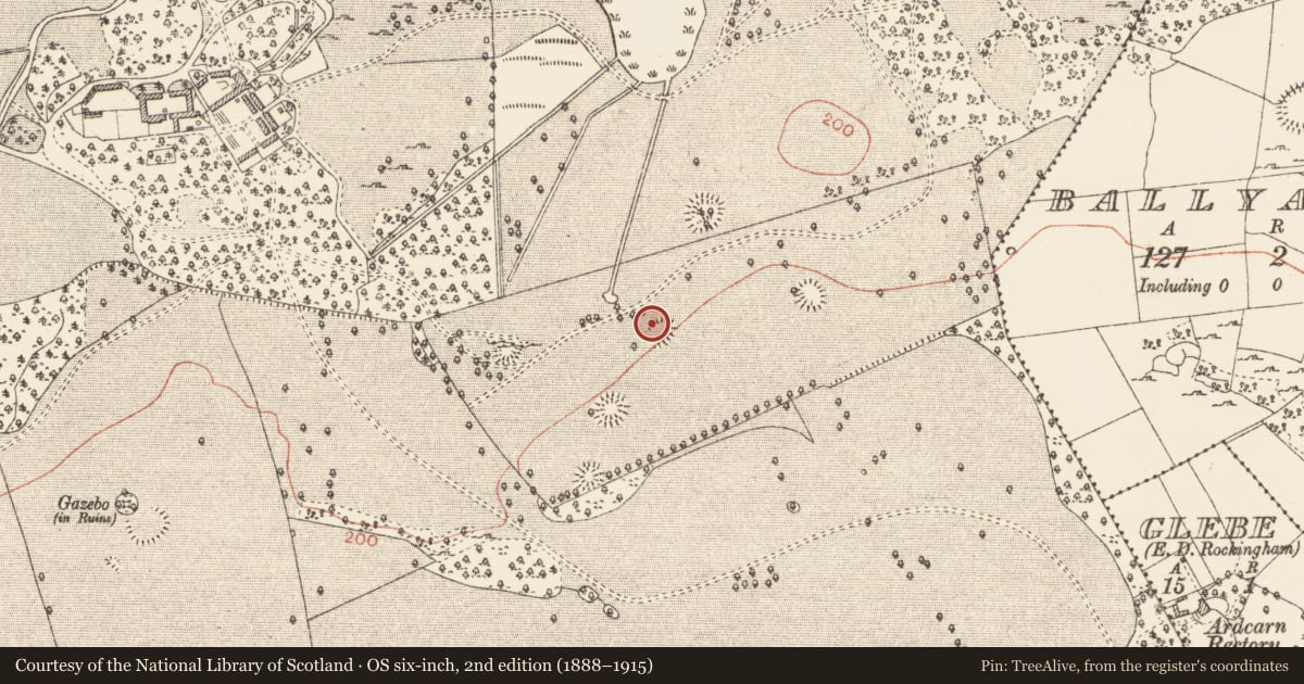 Ordnance Survey six-inch map, 2nd edition (1888–1915) covering the location of Ringfort - rath, Rockingham Demesne, County Roscommon, with a pin at the register's coordinates