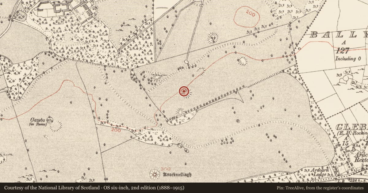 Ordnance Survey six-inch map, 2nd edition (1888–1915) covering the location of Ringfort - rath, Rockingham Demesne, County Roscommon, with a pin at the register's coordinates