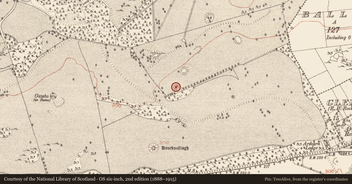Ordnance Survey six-inch map, 2nd edition (1888–1915) covering the location of Ringfort - cashel, Rockingham Demesne, County Roscommon, with a pin at the register's coordinates