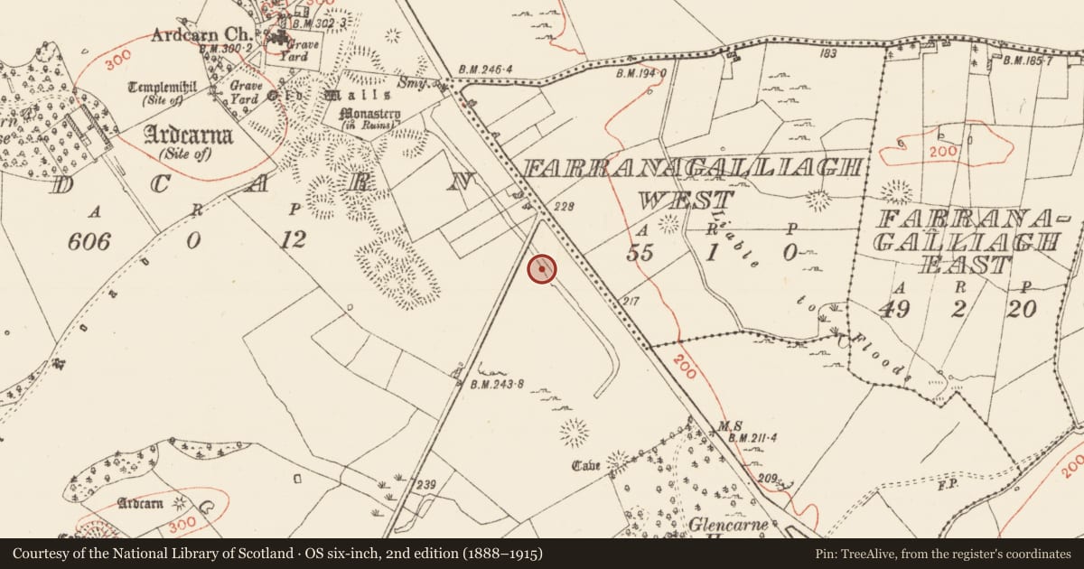 Ordnance Survey six-inch map, 2nd edition (1888–1915) covering the location of Road - road/trackway, Ardcarn, County Roscommon, with a pin at the register's coordinates