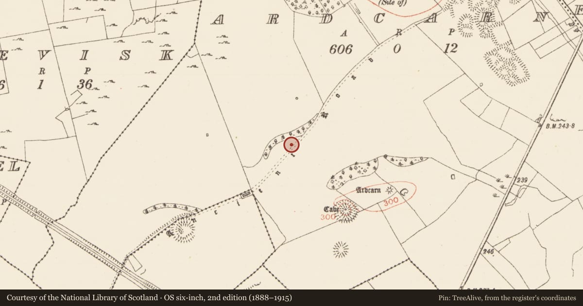 Ordnance Survey six-inch map, 2nd edition (1888–1915) covering the location of Road - road/trackway, Ardcarn, County Roscommon, with a pin at the register's coordinates