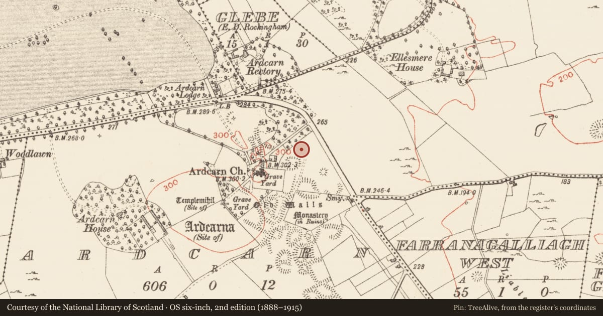 Ordnance Survey six-inch map, 2nd edition (1888–1915) covering the location of House - indeterminate date, Rusheen, County Roscommon, with a pin at the register's coordinates