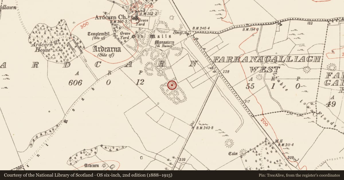 Ordnance Survey six-inch map, 2nd edition (1888–1915) covering the location of Ringfort - cashel, Ardcarn, County Roscommon, with a pin at the register's coordinates