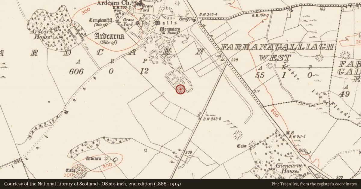 Ordnance Survey six-inch map, 2nd edition (1888–1915) covering the location of Ringfort - cashel, Ardcarn, County Roscommon, with a pin at the register's coordinates