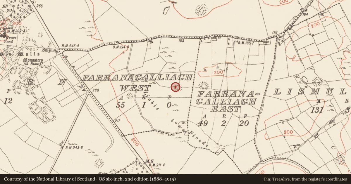 Ordnance Survey six-inch map, 2nd edition (1888–1915) covering the location of Ringfort - rath, Farranagalliagh West, County Roscommon, with a pin at the register's coordinates