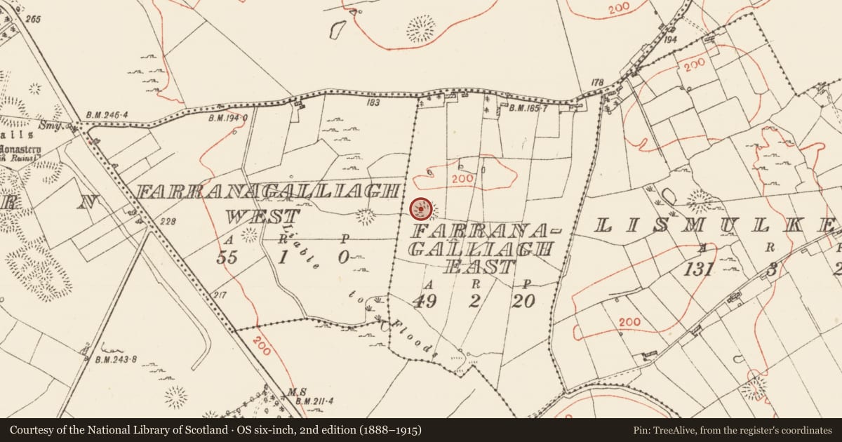 Ordnance Survey six-inch map, 2nd edition (1888–1915) covering the location of Ringfort - rath, Farranagalliagh East, County Roscommon, with a pin at the register's coordinates