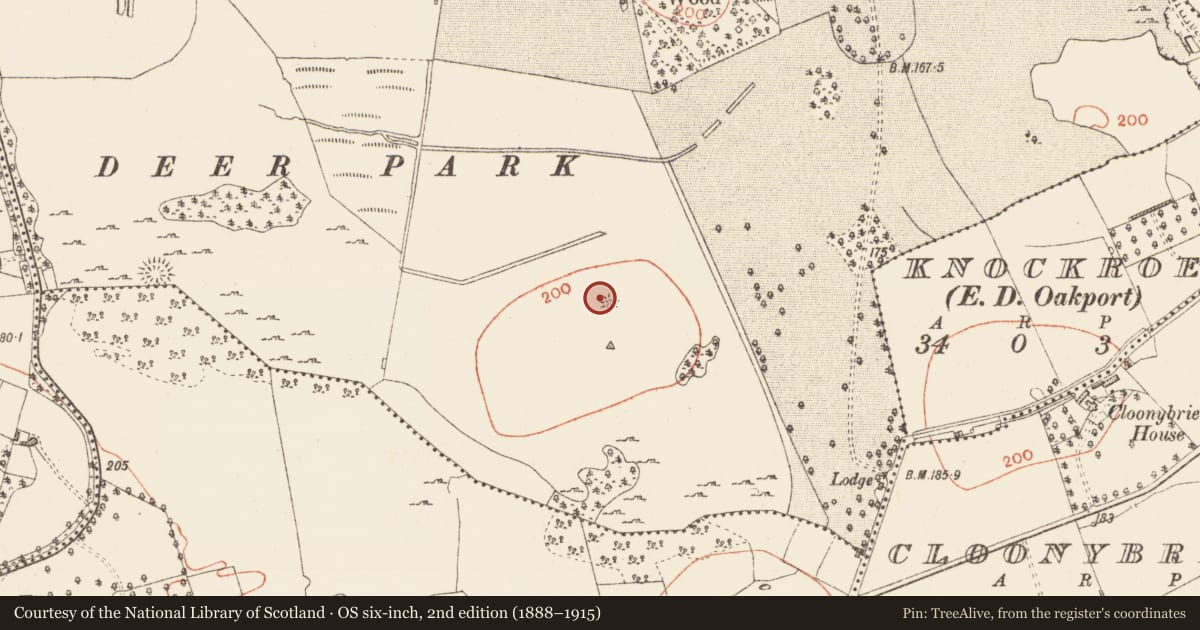 Ordnance Survey six-inch map, 2nd edition (1888–1915) covering the location of Hut site, Oakport Demesne, County Roscommon, with a pin at the register's coordinates
