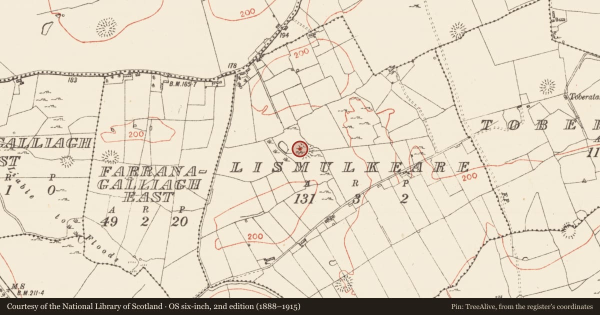 Ordnance Survey six-inch map, 2nd edition (1888–1915) covering the location of Ringfort - cashel, Lismulkeare, County Roscommon, with a pin at the register's coordinates