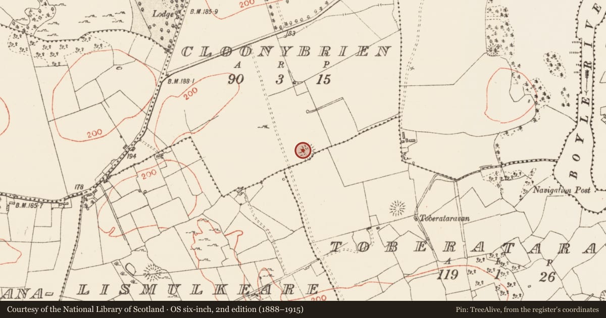 Ordnance Survey six-inch map, 2nd edition (1888–1915) covering the location of Ringfort - rath, Cloonybrien, County Roscommon, with a pin at the register's coordinates