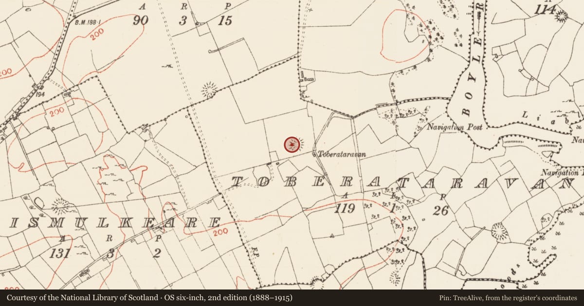 Ordnance Survey six-inch map, 2nd edition (1888–1915) covering the location of Ringfort - cashel, Toberataravan, County Roscommon, with a pin at the register's coordinates