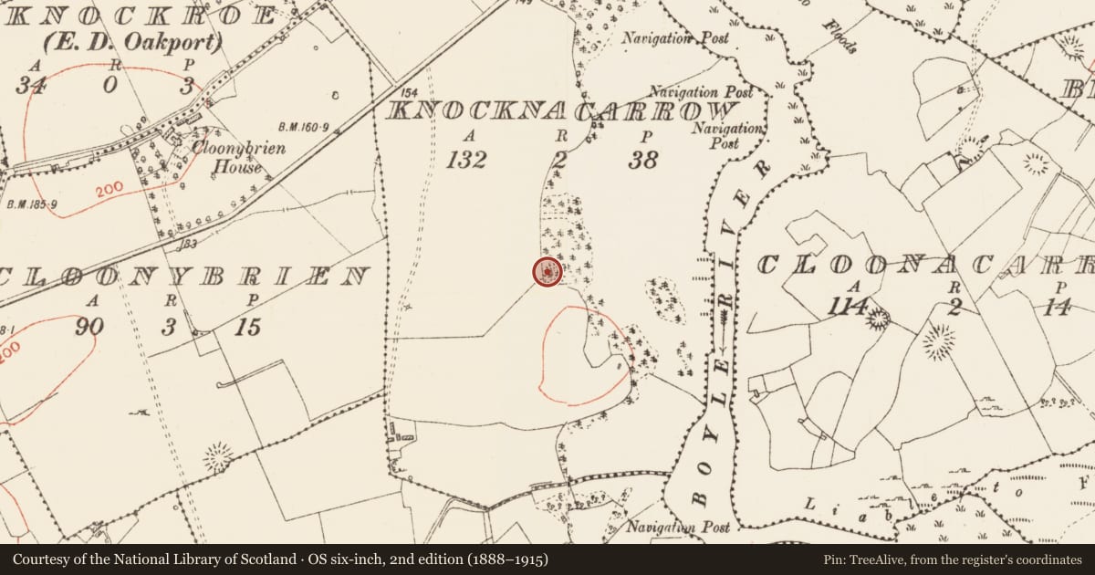 Ordnance Survey six-inch map, 2nd edition (1888–1915) covering the location of Ringfort - rath, Knocknacarrow, County Roscommon, with a pin at the register's coordinates