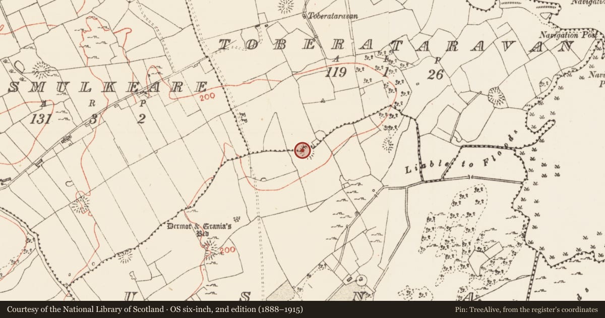 Ordnance Survey six-inch map, 2nd edition (1888–1915) covering the location of Ringfort - rath, Toberataravan, Usna, County Roscommon, with a pin at the register's coordinates