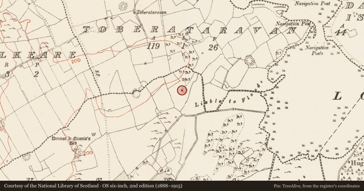 Ordnance Survey six-inch map, 2nd edition (1888–1915) covering the location of Ringfort - cashel, Usna, County Roscommon, with a pin at the register's coordinates