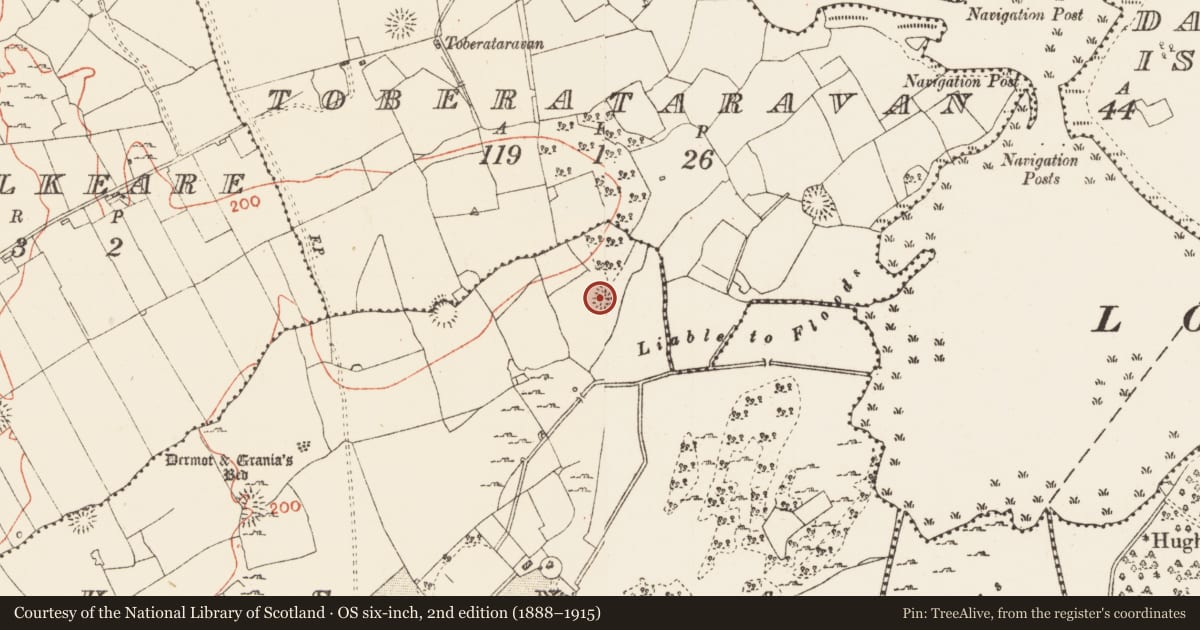 Ordnance Survey six-inch map, 2nd edition (1888–1915) covering the location of House - indeterminate date, Usna, County Roscommon, with a pin at the register's coordinates