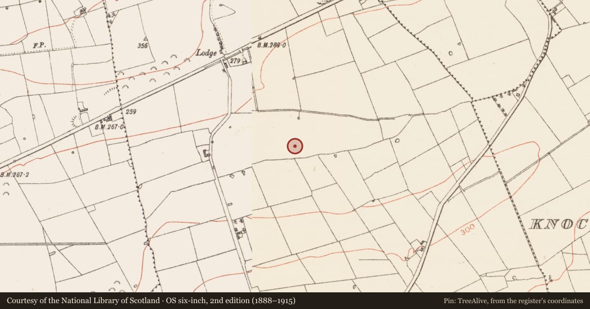Ordnance Survey six-inch map, 2nd edition (1888–1915) covering the location of Ring-ditch, Grange Beg, County Roscommon, with a pin at the register's coordinates