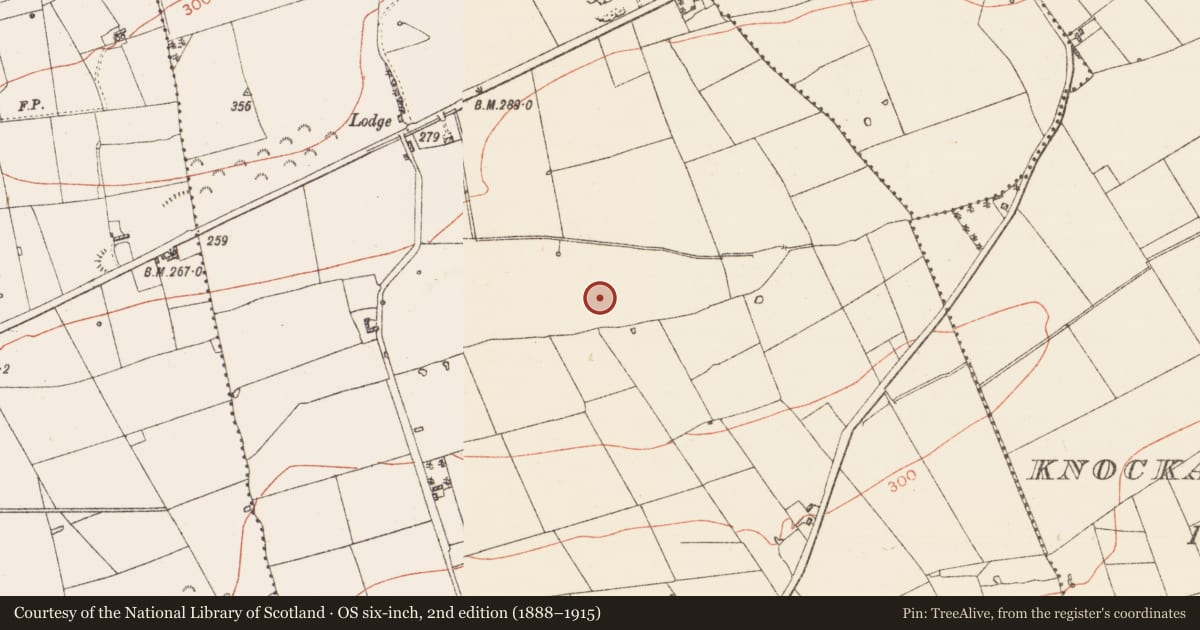 Ordnance Survey six-inch map, 2nd edition (1888–1915) covering the location of Ring-ditch, Grange Beg, County Roscommon, with a pin at the register's coordinates