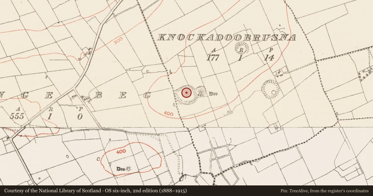 Ordnance Survey six-inch map, 2nd edition (1888–1915) covering the location of Henge, Knockadoobrusna, County Roscommon, with a pin at the register's coordinates