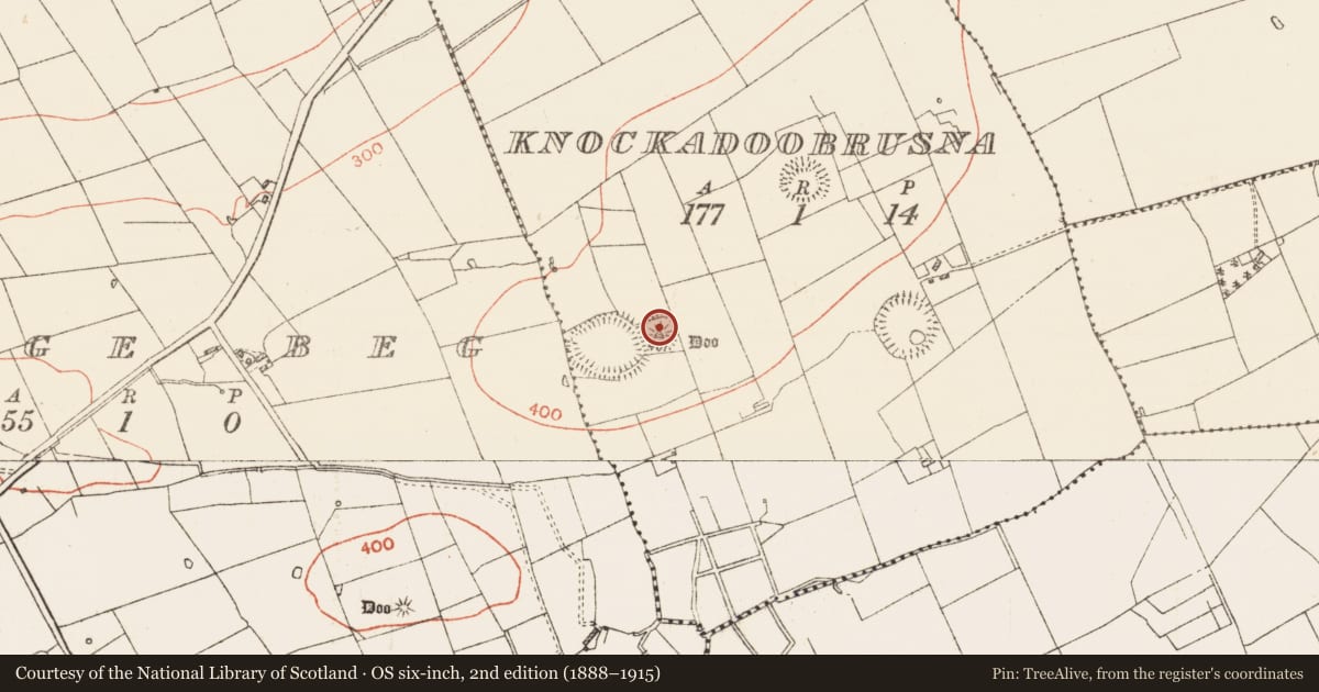 Ordnance Survey six-inch map, 2nd edition (1888–1915) covering the location of Barrow - bowl-barrow, Knockadoobrusna, County Roscommon, with a pin at the register's coordinates