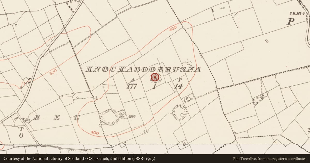 Ordnance Survey six-inch map, 2nd edition (1888–1915) covering the location of Ringfort - rath, Knockadoobrusna, County Roscommon, with a pin at the register's coordinates