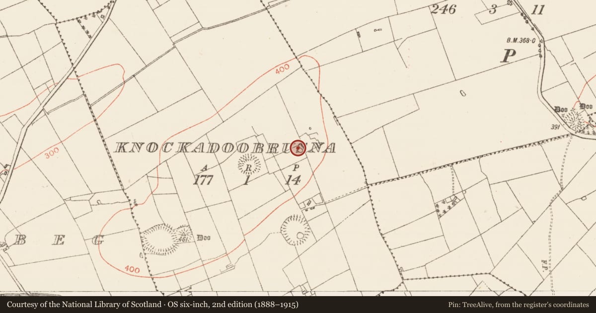 Ordnance Survey six-inch map, 2nd edition (1888–1915) covering the location of Barrow - mound barrow, Knockadoobrusna, County Roscommon, with a pin at the register's coordinates