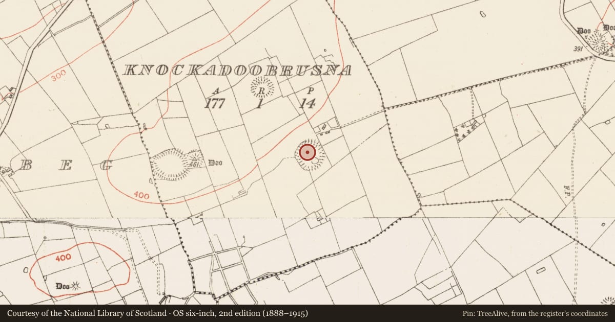 Ordnance Survey six-inch map, 2nd edition (1888–1915) covering the location of Henge, Knockadoobrusna, County Roscommon, with a pin at the register's coordinates