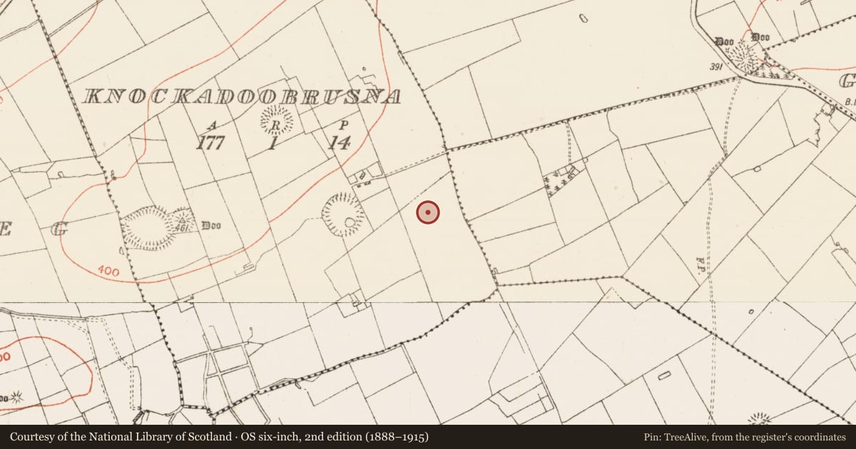 Ordnance Survey six-inch map, 2nd edition (1888–1915) covering the location of Barrow - mound barrow, Knockadoobrusna, County Roscommon, with a pin at the register's coordinates