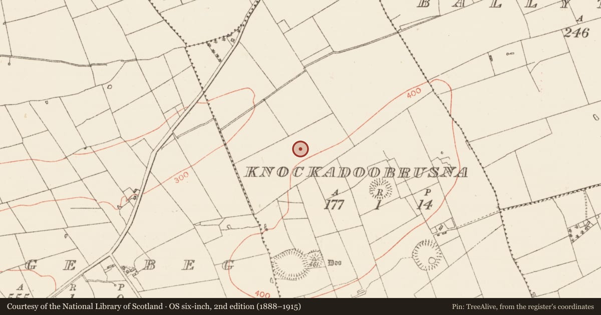 Ordnance Survey six-inch map, 2nd edition (1888–1915) covering the location of Field system, Knockadoobrusna, County Roscommon, with a pin at the register's coordinates