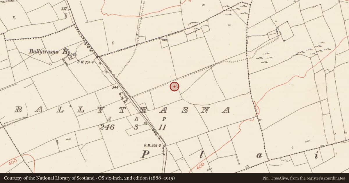 Ordnance Survey six-inch map, 2nd edition (1888–1915) covering the location of Enclosure, Ballytrasna, County Roscommon, with a pin at the register's coordinates