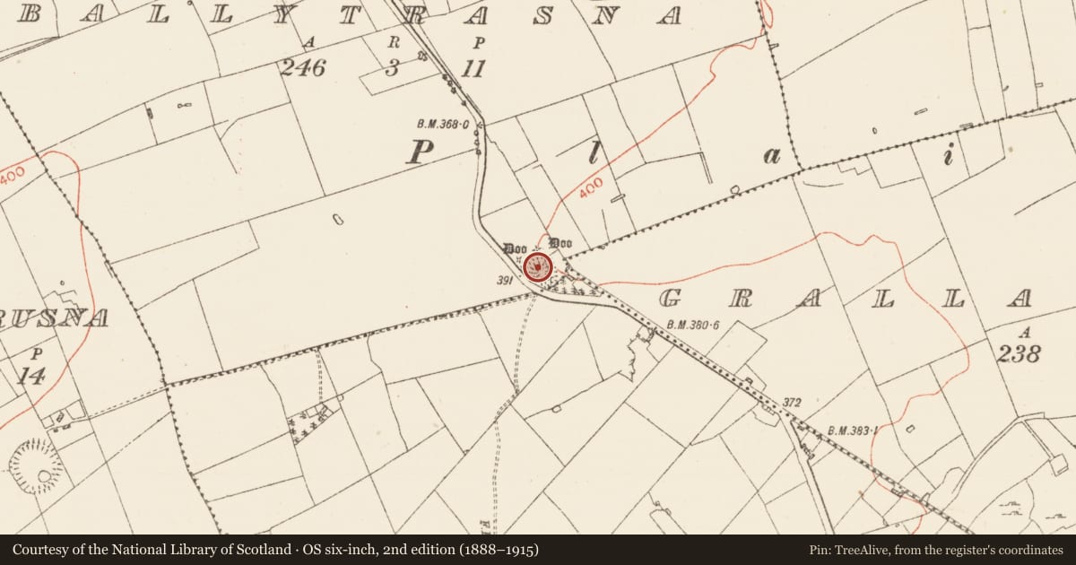 Ordnance Survey six-inch map, 2nd edition (1888–1915) covering the location of Barrow - ring-barrow, Ballytrasna, County Roscommon, with a pin at the register's coordinates