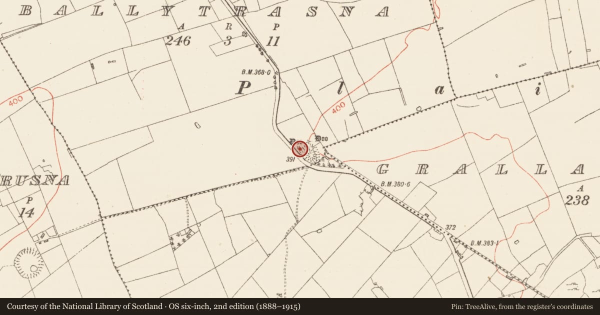 Ordnance Survey six-inch map, 2nd edition (1888–1915) covering the location of Barrow - mound barrow, Ballytrasna, County Roscommon, with a pin at the register's coordinates
