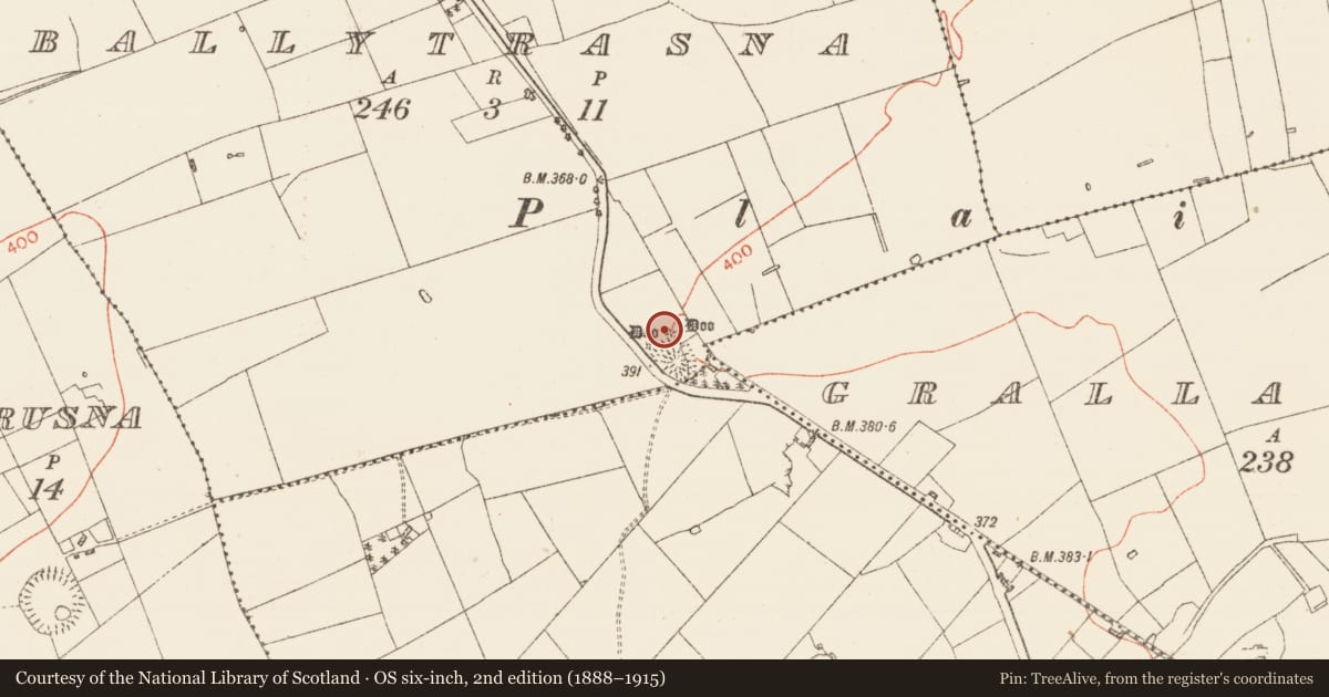 Ordnance Survey six-inch map, 2nd edition (1888–1915) covering the location of Barrow - mound barrow, Ballytrasna, County Roscommon, with a pin at the register's coordinates