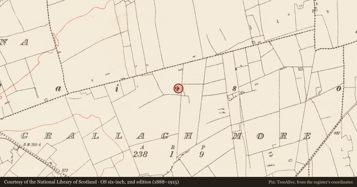 Ordnance Survey six-inch map, 2nd edition (1888–1915) covering the location of Ring-ditch, Grallagh More, County Roscommon, with a pin at the register's coordinates