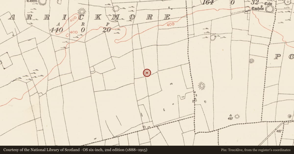 Ordnance Survey six-inch map, 2nd edition (1888–1915) covering the location of House - indeterminate date, Carrickmore, County Roscommon, with a pin at the register's coordinates