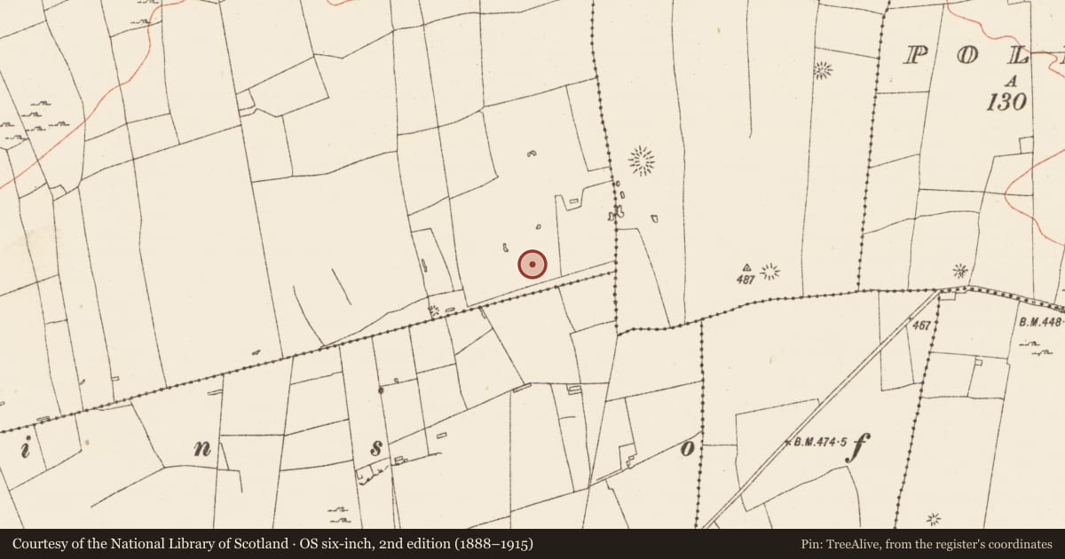 Ordnance Survey six-inch map, 2nd edition (1888–1915) covering the location of Enclosure, Carrickmore, County Roscommon, with a pin at the register's coordinates