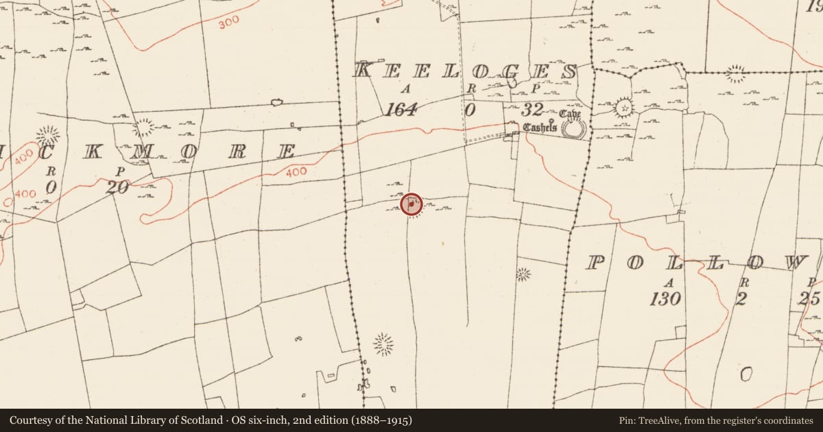 Ordnance Survey six-inch map, 2nd edition (1888–1915) covering the location of Ringfort - cashel, Keeloges, County Roscommon, with a pin at the register's coordinates